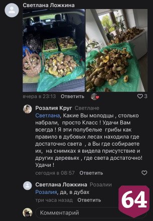 Саратовцы в грозу собрали благородные грибы  